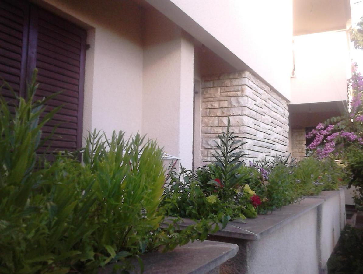 Apartament With A Parking Space - Diklo, - 13327 Zadar